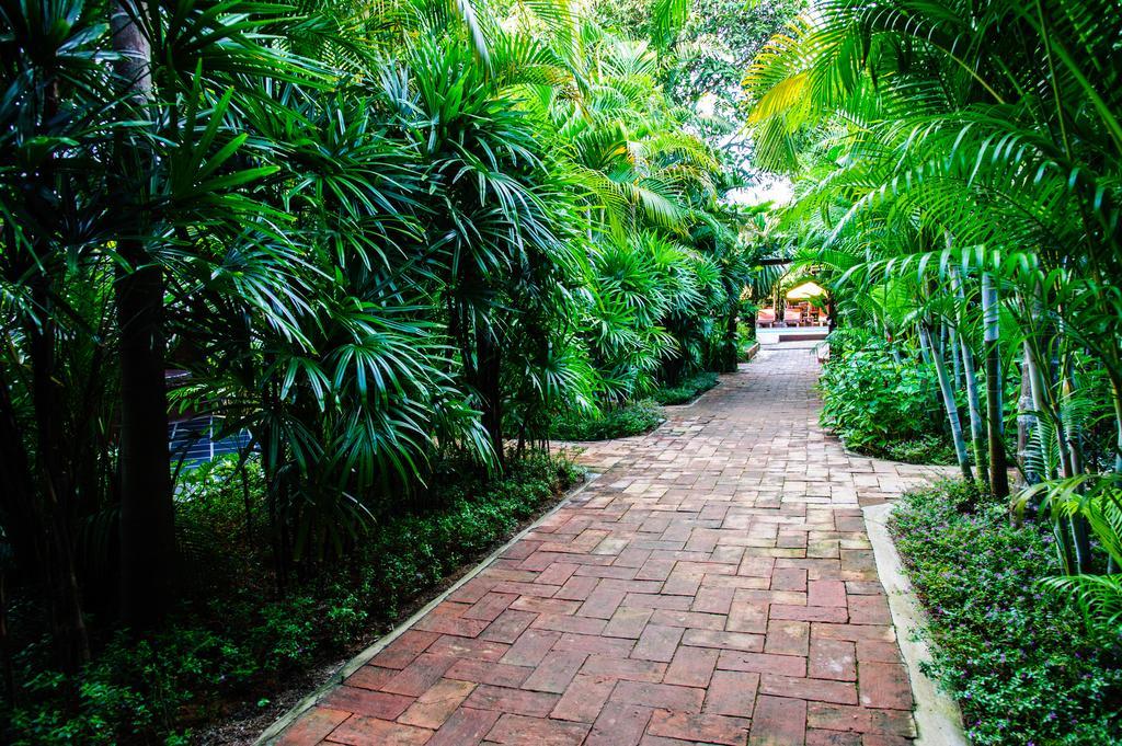 Baanpong Lodge San Kamphaeng Exteriér fotografie